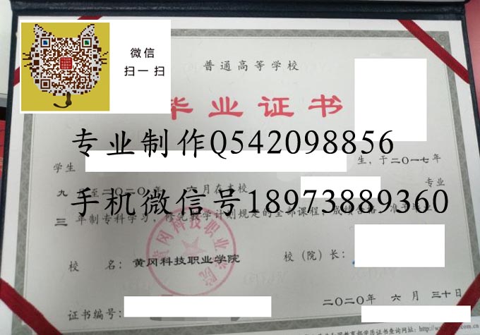 黄冈科技职业学院2020 拷贝.jpg