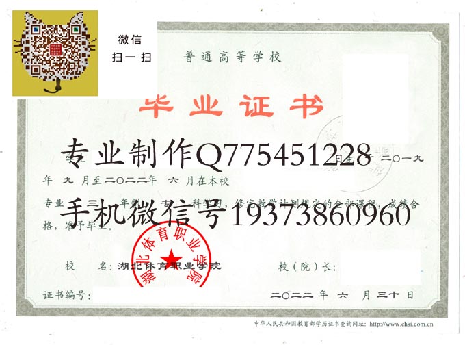 湖北体育职业学院2022 拷贝.jpg