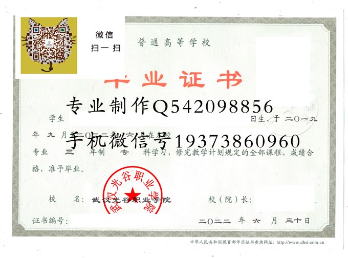 武汉光谷职业学院2022 拷贝.jpg