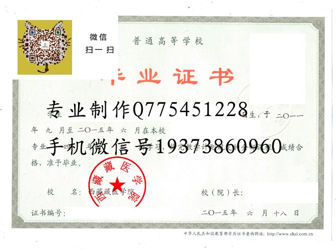 西藏藏医学院2015 拷贝.jpg