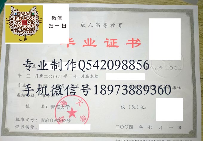 青海大学2004成人专科 拷贝.jpg