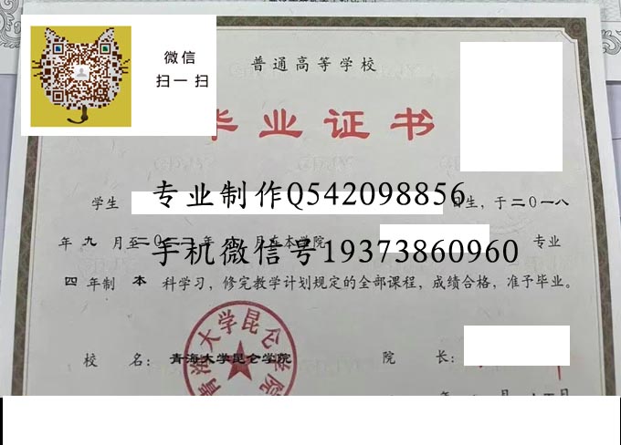 青海大学昆明学院2022 拷贝.jpg
